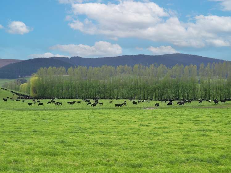 30 Phosphate Road Milton_2