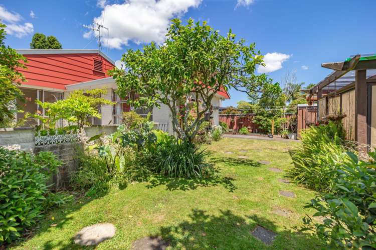 7 Avon Street Levin_18