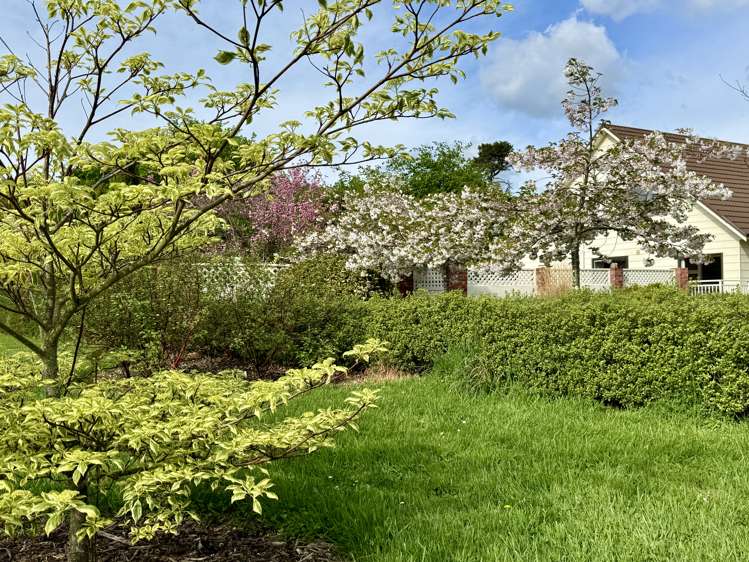 144 Loop Line Masterton_19