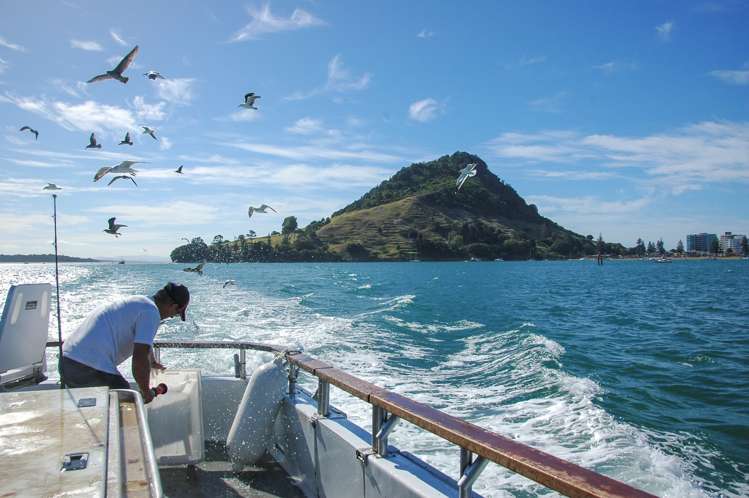 8e Heath Street Mount Maunganui_24