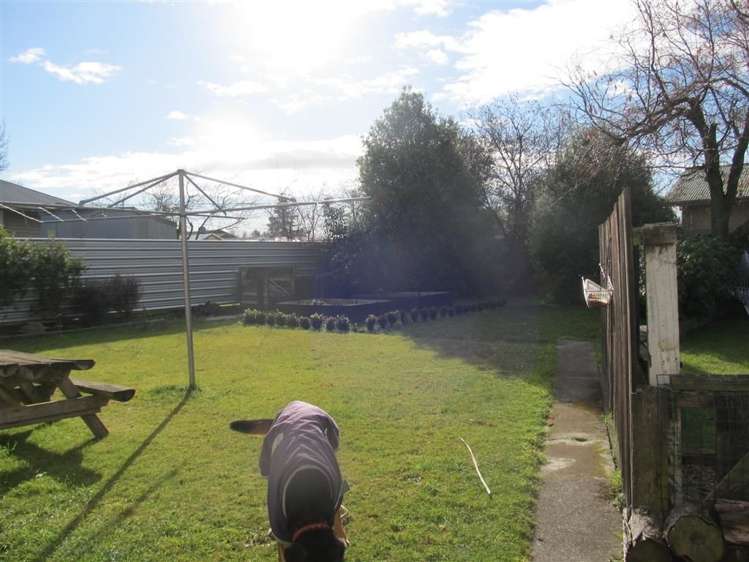 33 Catherine Street Tinwald_9