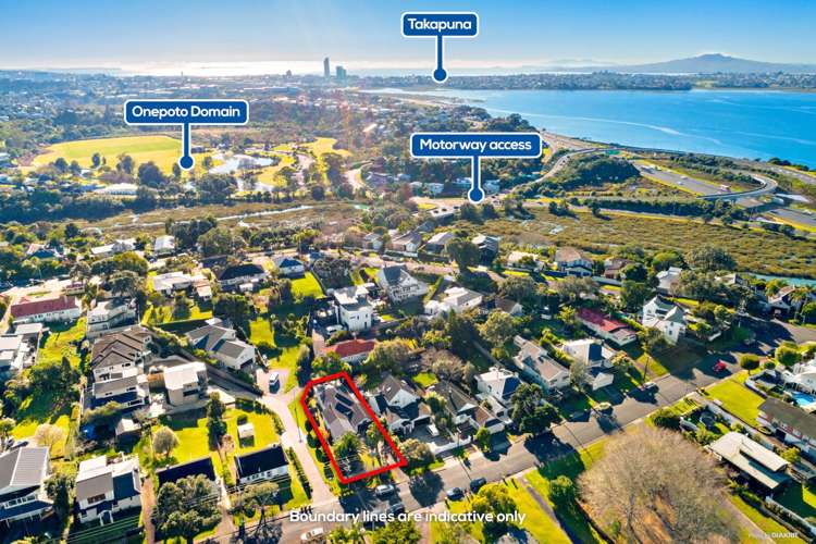 36 Belle Vue Avenue Northcote Point_4
