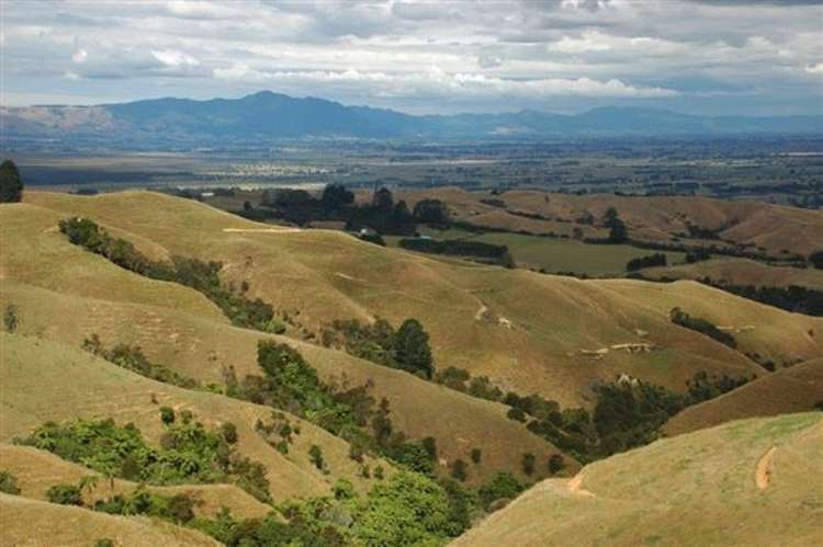 Waiti Road Tahuna_25