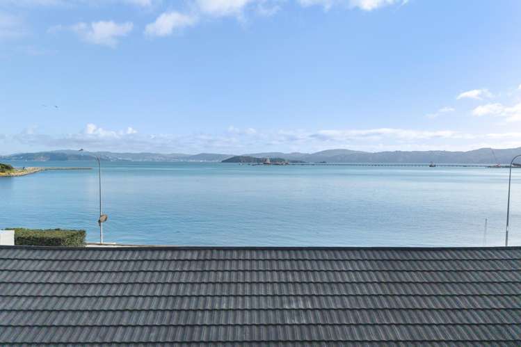 238 Marine Drive Lowry Bay Eastbourne_15