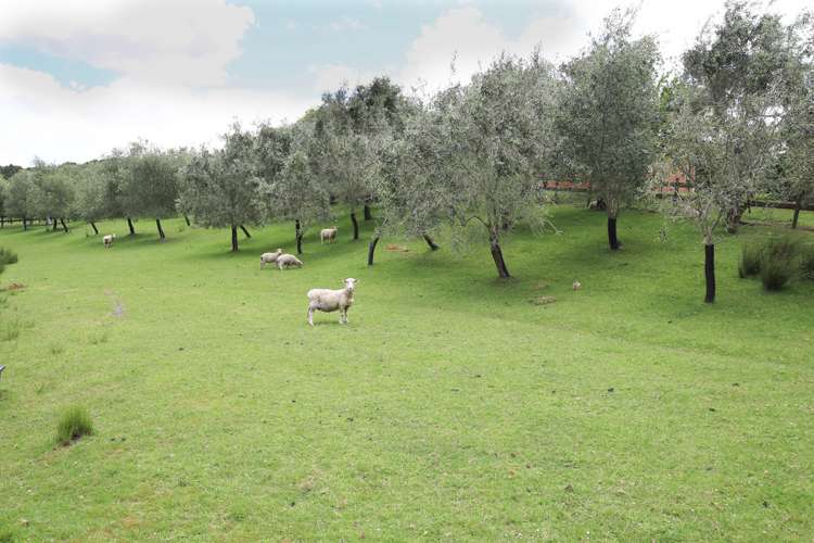 5272 Kaipara Coast Highway Wellsford_7