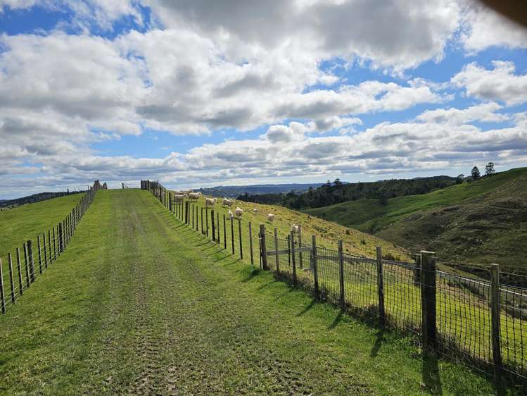 113C Marua Road Hikurangi_36