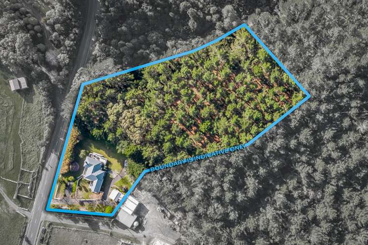 603 Peak Road Helensville_32