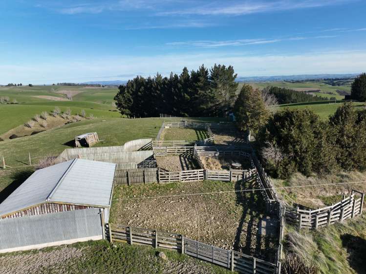 1628 Tuapeka West Road and 275 Bush Road Tuapeka West_15