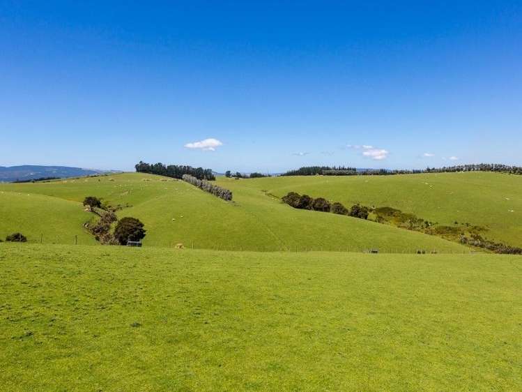 536 Circle Hill Road Milton_19