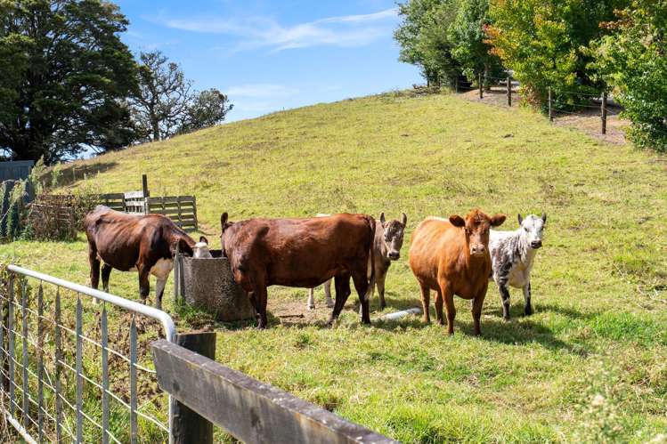 442 Whananaki North Road Hukerenui and Surrounds_21