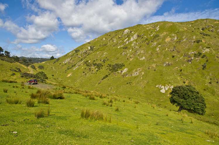 621 Black Jack Road Opito Bay_14