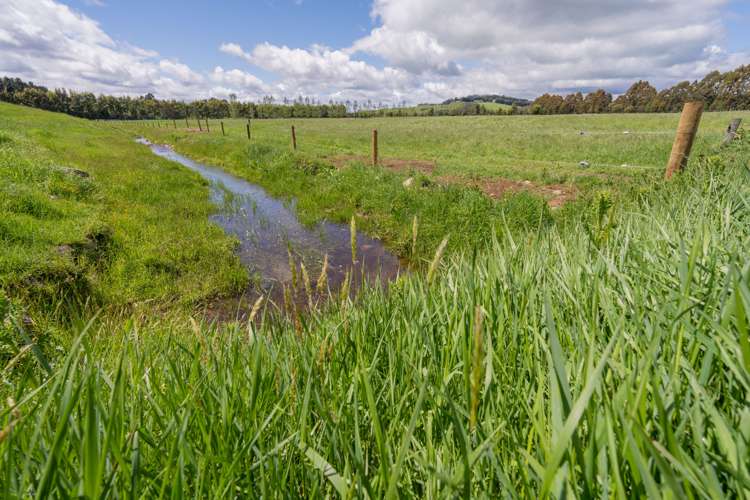 120 Wetlands Road Te Anau_13