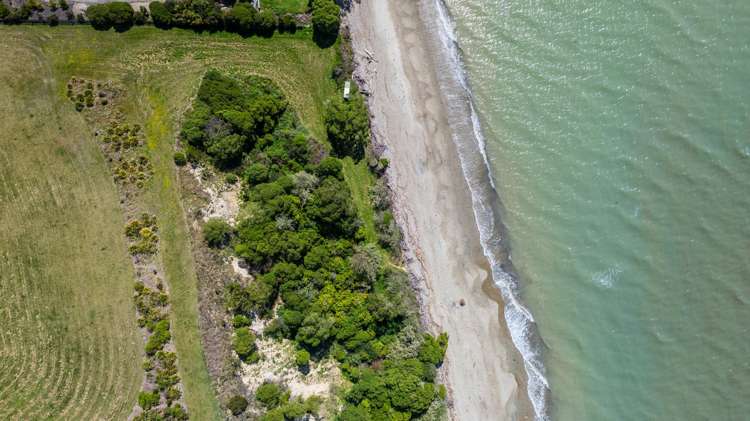 45 Deck Road Tasman_31