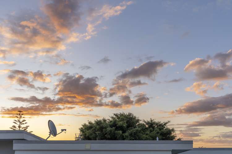 4 Dexter Avenue Mount Eden_23