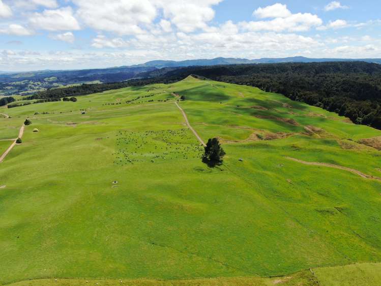 537 Tapuwae Road Benneydale_21