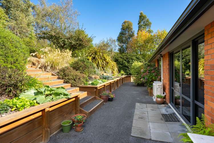 20 Hay Street Allanton_20