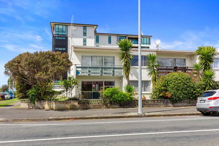 1/16 Park Street Tauranga Central_15