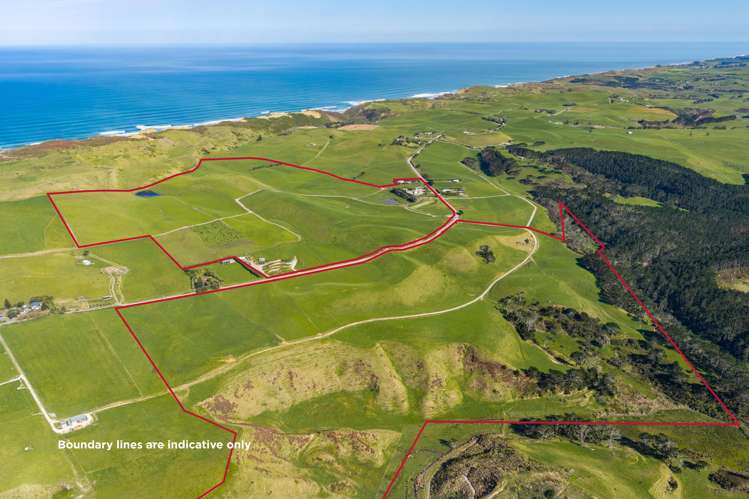 559 Mahuta Road Dargaville_1