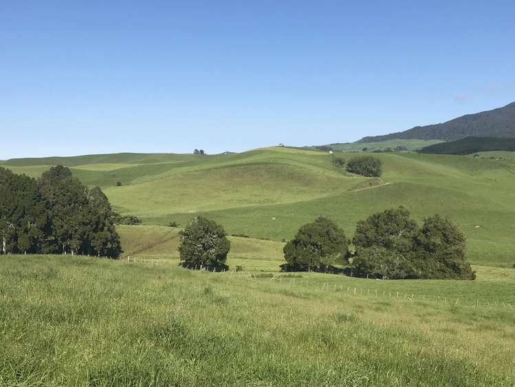 18 Waimaori Road Raglan_6