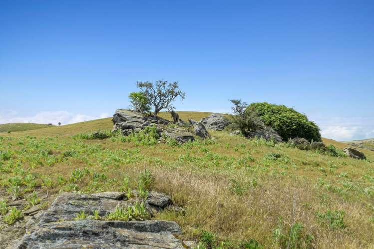 Cnr Ruffell and Ardgour Valley Roads Tarras_11