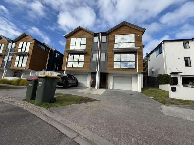46 Seafarer Crescent Stanmore Bay_1