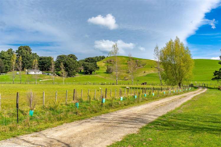 301 South Road Mauriceville_27