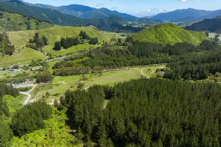 304 State Highway 1 Anakiwa and Surrounds_21