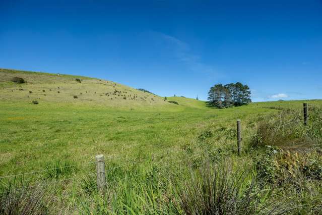 42 Redhill Cemetery Road Te Kopuru_1