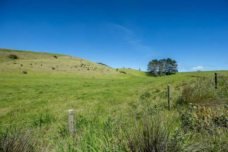 42 Redhill Cemetery Road Te Kopuru_1