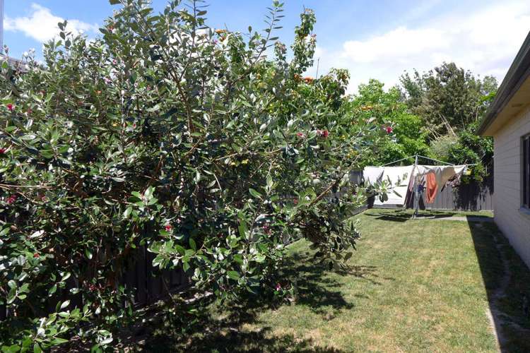 97 Northwood Avenue Mahora_10