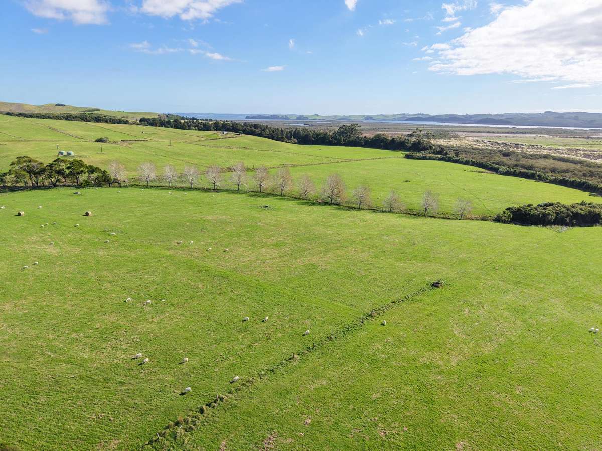 4193 Kaipara Coast Highway_4