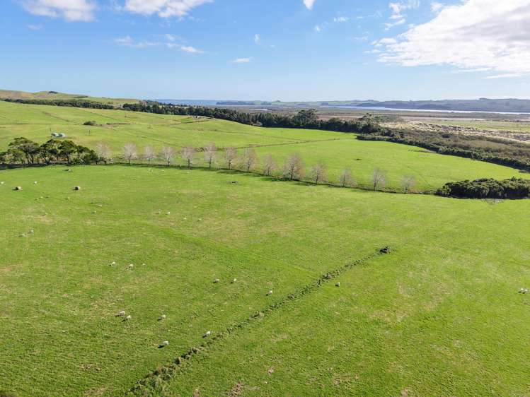 4193 Kaipara Coast Highway Wellsford_7