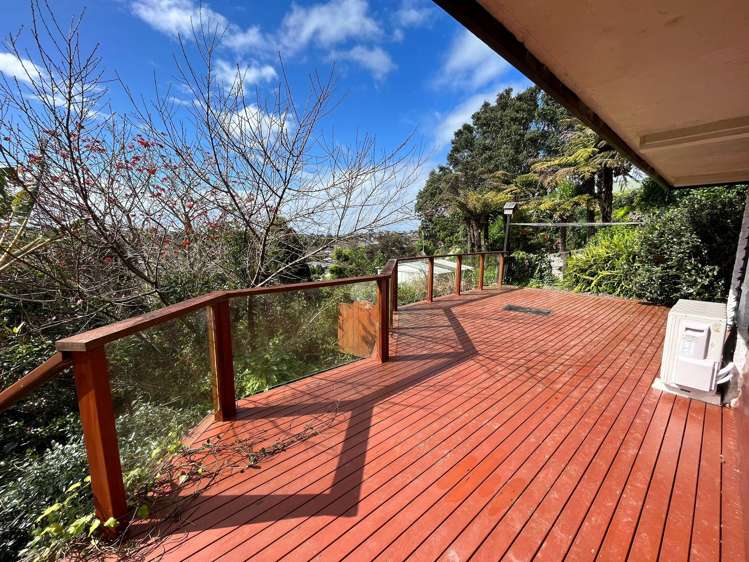 41B Layton Road Manly_6