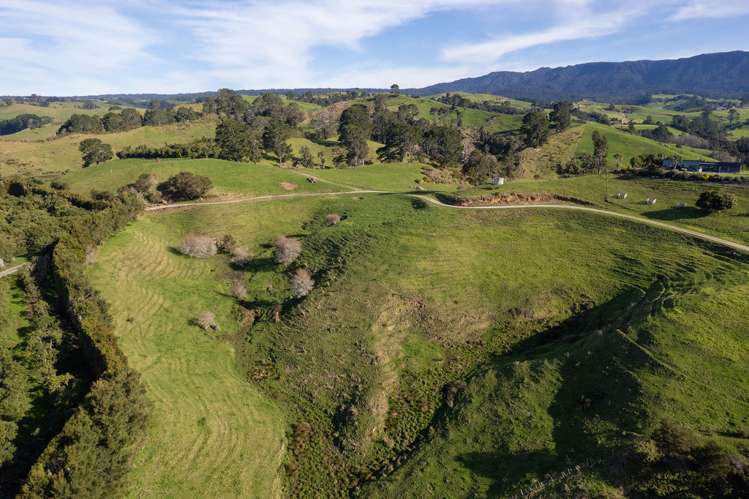 231 Walford Road Aongatete_20