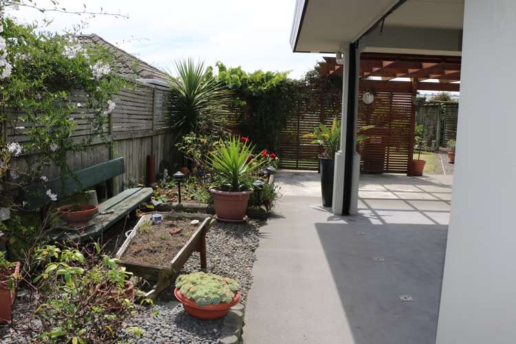 29 Seabury Avenue Foxton Beach_18