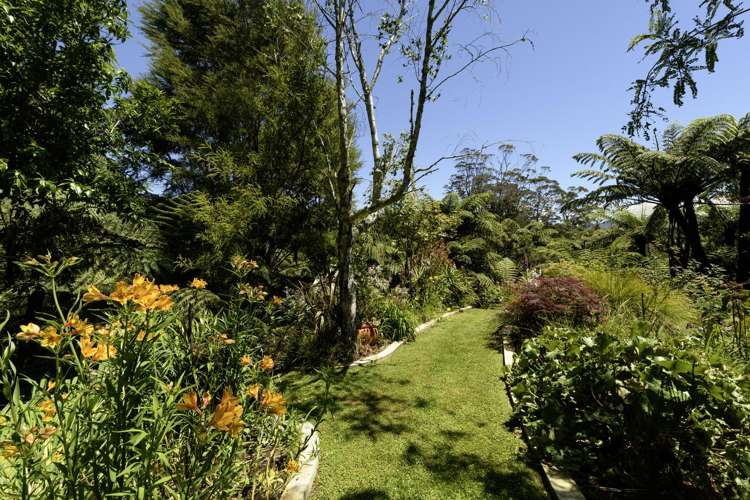 480B Youngson Road Whakamarama_29