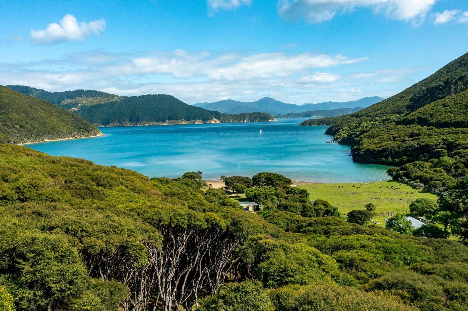 Lot 4 + 5 Te Aroha Bay, Otanerau Bay Marlborough Sounds_0