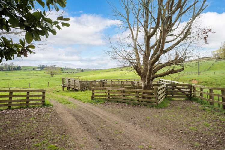354 Paratu West Road Matamata_20