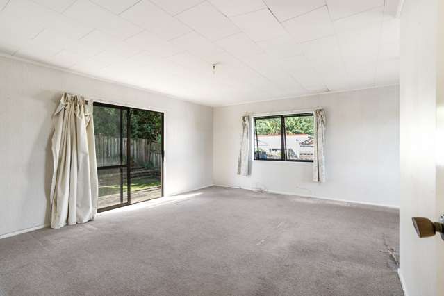 164a Hendon Avenue Mount Albert_2