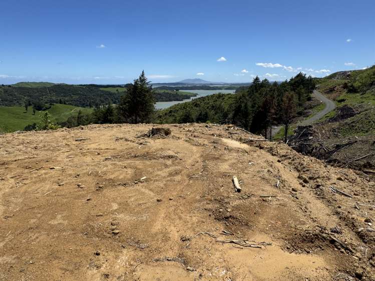 Lot 3 Brown Road Kawhia_13
