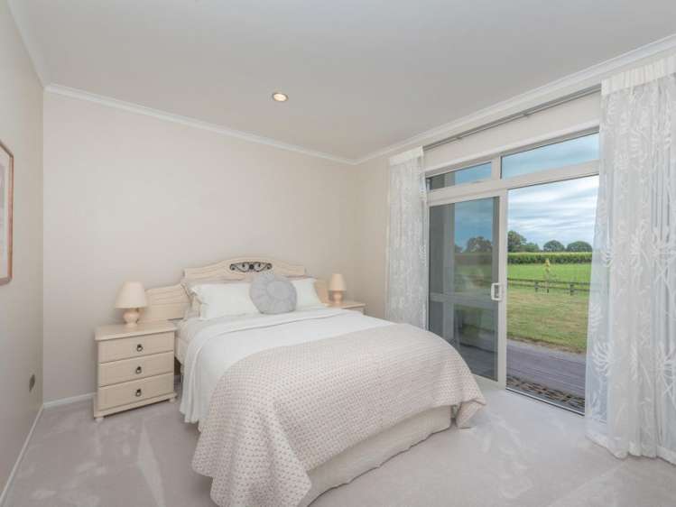 66 Webster Road Matangi_12