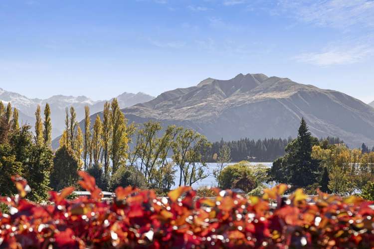 36 Willowridge Wanaka_16