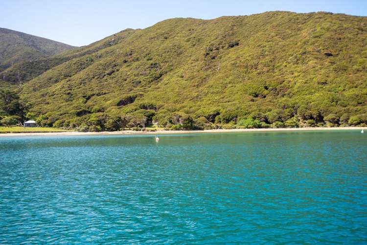 Lot 4 + 5 Te Aroha Bay, Otanerau Bay Marlborough Sounds_73