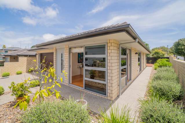 24 Viewland Avenue Onehunga_1