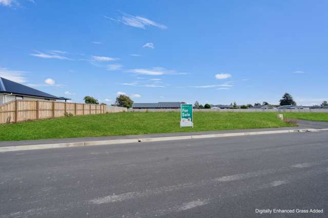 22 Ashbury Drive Tinwald_3