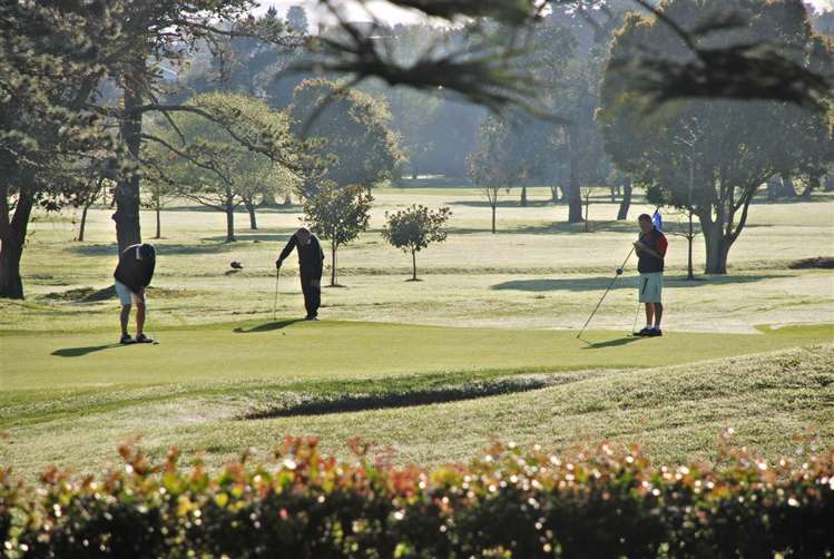 5 Morrison Avenue Narrow Neck_15