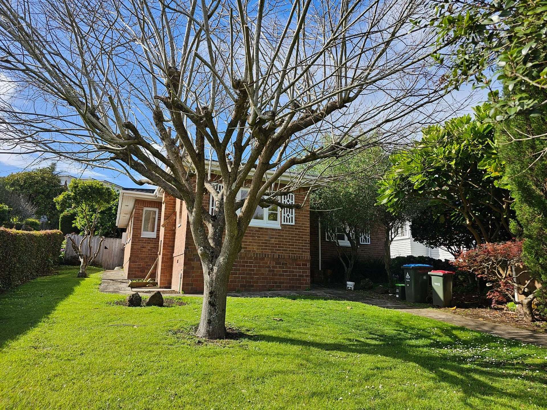 1048 New North Road Mount Albert_0