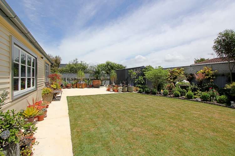 24 Auckland Road Greenmeadows_11