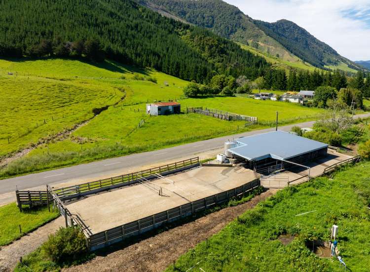 537 Ronga Road Rai Valley_26