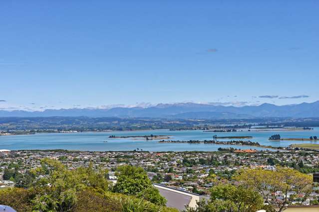 106 Panorama Drive Enner Glynn_2